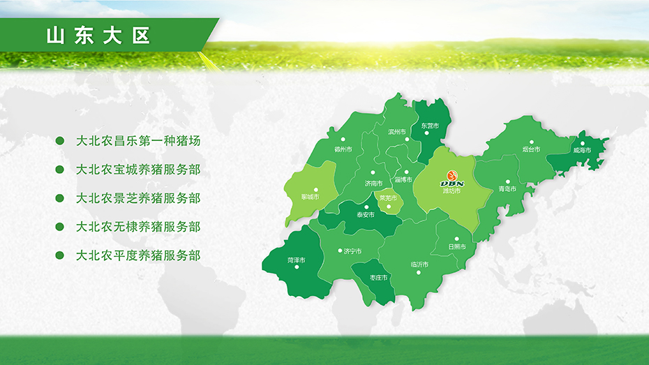 山东大区.jpg